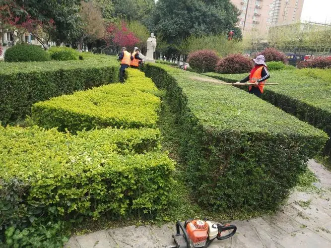 威海綠化工程陸續開工時間