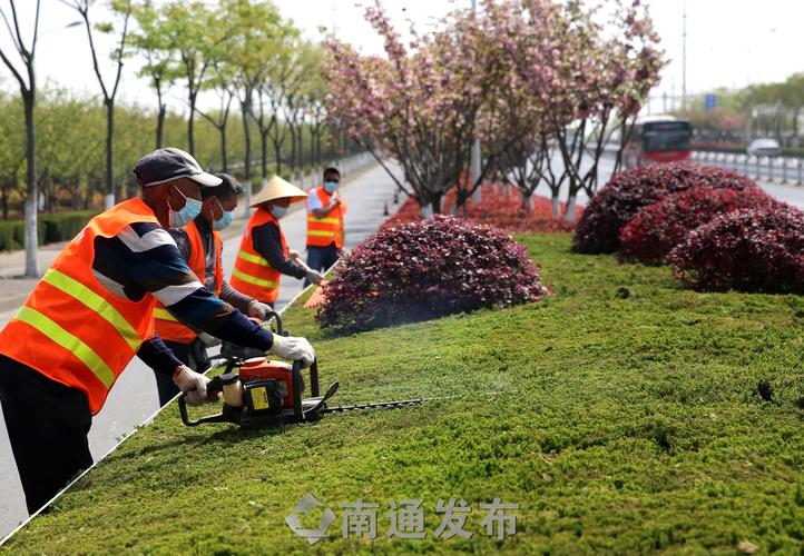 九江綠化亮化工程項目