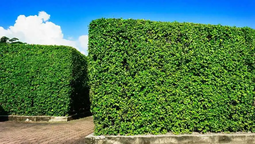 戶外假山園林景觀設計