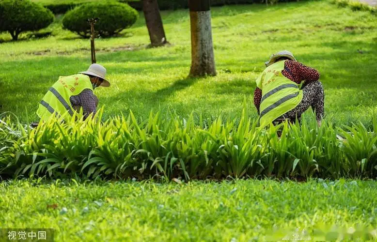 公園簡(jiǎn)約綠化工程自制涼亭頂教程
