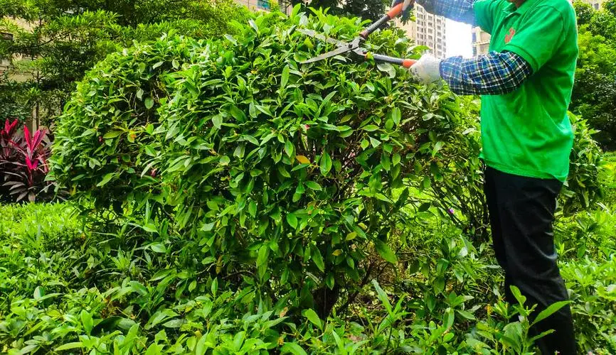 500平的園林景觀設計